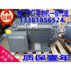 廠價(jià)直銷貝得電機(jī) 經(jīng)久耐用西門子牌三相異步交流電動(dòng)機(jī)