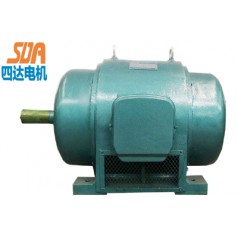 JS籠型異步電動機(jī)