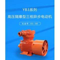 YB3系列高壓隔爆型三相異步電動(dòng)機(jī)