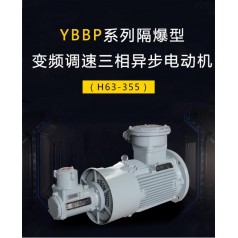 YBBP系列隔爆型變頻調(diào)速三相異步電動(dòng)機(jī)（H63-355）