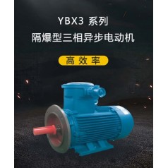 YBX3 系列高效率隔爆型三相異步電動(dòng)機(jī)