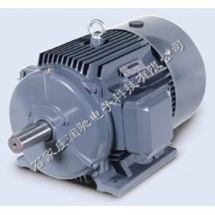 西門子1LE0001-2BB23-3AA4 （B3-K11-45KW）