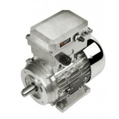 Carpanelli 帶逆變器的電動(dòng)機(jī)Alfavert系列