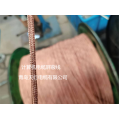 DJYVP、DJYPVP儀表信號(hào)計(jì)算機(jī)電纜生產(chǎn)廠家 天行品牌 生產(chǎn)定制