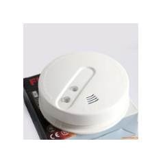 天津智慧城市獨(dú)立式無(wú)線(xiàn)可燃?xì)怏w探測(cè)器LNRQ-1生產(chǎn)廠家