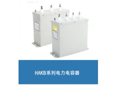 電容器- BSMJ-0.45-50-3