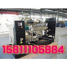 廊坊出租發(fā)電機(jī)維修 發(fā)電機(jī)保養(yǎng)【優(yōu)惠】17744467496