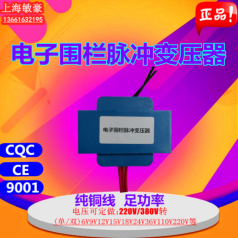 電子圍欄柵欄高壓脈沖變壓器環(huán)氧灌封雷達變換技術純銅足功率定制