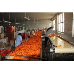 現(xiàn)貨供應皮帶輸送機