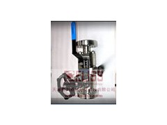 原裝法國SACCAP閥門