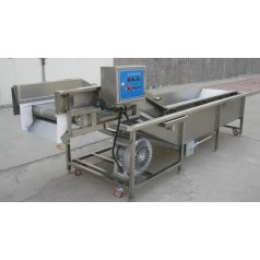 油菜氣泡清洗機，小白菜氣泡清洗機