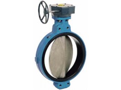 德國(guó)凱士比蝶閥，進(jìn)口KSB蝶閥