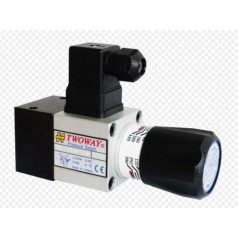 TWOWAY壓力開關(guān)DNL系列