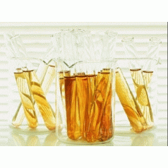 廠家供應(yīng)鍍金工藝品保護(hù)液