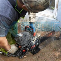 美國(guó)ICS鏈條