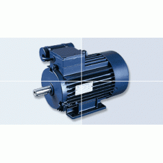 德國Birkenbeul單向標(biāo)準(zhǔn)電機