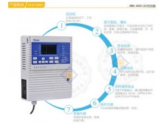 RBK-6000-ZL9 便于維護(hù)型甲烷報(bào)警器