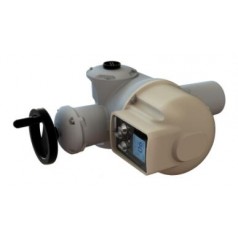 BERNARD CONTROLS 多回轉(zhuǎn)電動執(zhí)行器AT系列