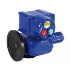 BERNARD CONTROLS 工業(yè) 執(zhí)行器SQ系列