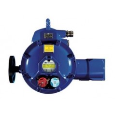 BERNARD CONTROLS 防爆型角行程執(zhí)行器SQX系列