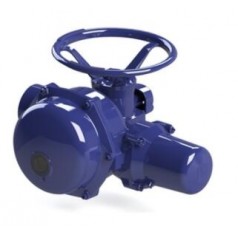 BERNARD CONTROLS 全天候型執(zhí)行器ST系列