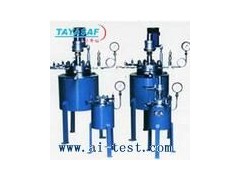 高壓反應(yīng)釜/中國不銹剛高壓反應(yīng)釜A3935072