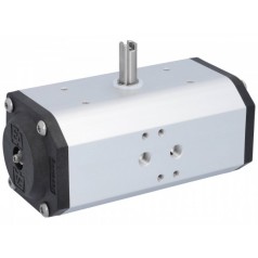 EA END ARMATUREN 部分回轉(zhuǎn)執(zhí)行器-DW55系列