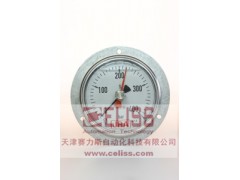 進(jìn)口JRA壓力表