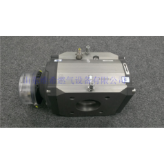 elster埃爾斯特RABO氣體腰輪流量計進(jìn)口羅茨流量計