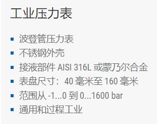 Bourdon 工業(yè)壓力表系列