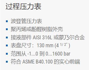 Bourdon 過(guò)程壓力表系列