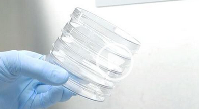 Nunc? EasYDishes（培養(yǎng)皿）新品上市 40mm、60mm、100mm、150mm