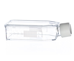 懸浮細(xì)胞培養(yǎng)瓶（懸浮式，滅菌） 690190 50ml，白色標(biāo)準(zhǔn)蓋