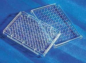 康寧/Corning 96孔細(xì)胞培養(yǎng)板3599 TC表面，無菌無熱源