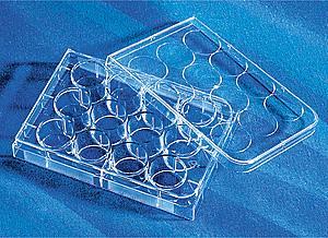 康寧12孔細胞培養(yǎng)板