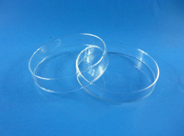 康寧/Coring 細胞培養(yǎng)皿 430167