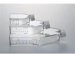 細(xì)胞培養(yǎng)瓶（T-75，0030711025）