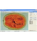 LA-S瓜果剖切面、瓤色圖像分析儀系統