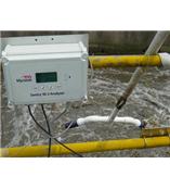 美國(guó)InsiteIG在線溶解氧分析儀Online DO Sentry M-2