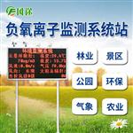 負(fù)離子檢測(cè)儀廠家