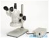 顯微鏡錦之堂:體視顯微鏡NSZ-70系列雙目、三目型