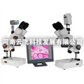 供應(yīng)云飛XTZ解剖鏡及成像設(shè)備，解剖鏡及成像設(shè)備廠家