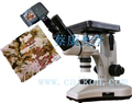 雙目倒置金相顯微-上海蔡康光學(xué)儀器廠專業(yè)生產(chǎn)