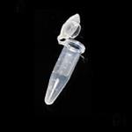 微量離心管/EP管無DNA酶/RNA酶無熱源無菌@熱點(diǎn)資訊