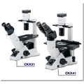 奧林巴斯CKX41倒置生物顯微鏡，CKX41生物顯微鏡
